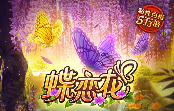 诺亚体育app官网